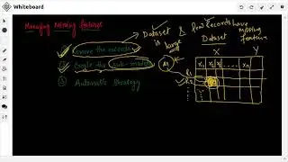 How to manage missing feature values in Dataset