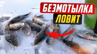 Эта БЕЗМОТЫЛКА ловит всегда/ Безмотылка на окуня