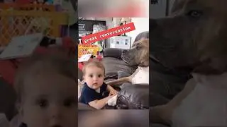 Dog and baby are best friends ❤️ 