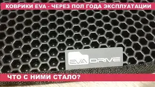 ЖЕСТЬ НУ И КОВРИКИ EVA! КОВРИКИ EVA DRIVE. РЕАЛЬНЫЙ ОТЗЫВ!!!