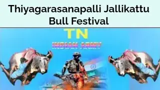 Thiyagarasanapalli Jallikattu bull festival in TN INDIAN ARMY BULL CATCHERS