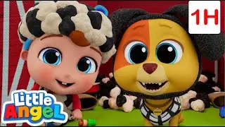 Searching For Super Sheep! | Animals for Kids | Funny Cartoons | Learn about Animals