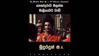 යශෝධරාව බලන්න මාලිගාවට වැඩි බුදුහිමියන් 🙏 | More Buddhas than palaces to see Yashodhara #kavibana