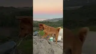 I ruined his vibe