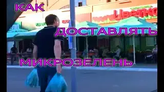 Ускоренная доставка микрозелени. Бизнес в квартире