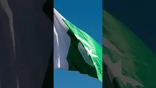 Pakistani Flag Blue screen #shorts #greenscreen #animation