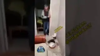 Узбекча запал 2024