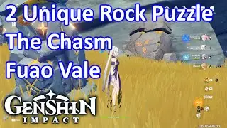 2 Unique Rock Puzzle The Chasm Fuao Vale Genshin Impact