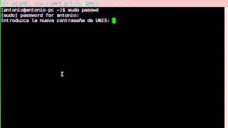 Change Root password on Linux // Cambiar contraseña Root en linux
