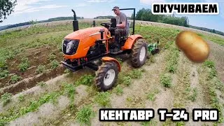 КЕНТАВР Т-24 PRO окучиваем картофель