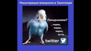 Как зарегистрироваться в Твитере. Как  начать  работать в твитере