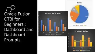 Oracle Fusion OTBI For Beginners - Part 13 Your First Dashboard with Dashboard Prompts