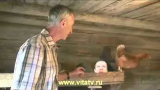 Какой-то разноцветный салат | RYTP