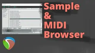 Reaper - Open Sample Browser / Media Explorer