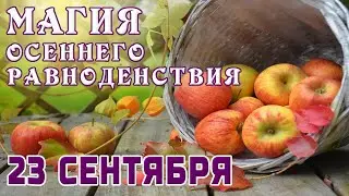 МАГИЯ ОСЕННЕГО РАВНОДЕНСТВИЯ 23 СЕНТЯБРЯ🍁НАРОДНЫЕ ПРИМЕТЫ🍁ШАНС ПОПРАВИТЬ СУДЬБУ.