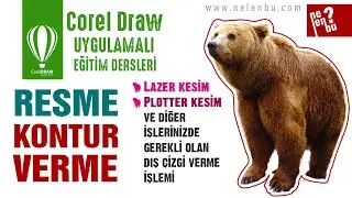 How to Contour (Outline) Picture - Corel Draw Tutorials