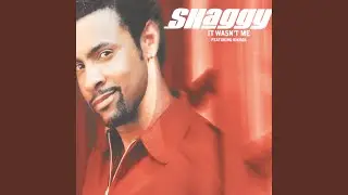 It Wasn't Me (Vocal 12