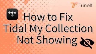 How to Fix Tidal My Collection Not Showing | Tunelf