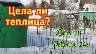 28 Февраля 2024 г. Как мы с Арчи на дачу ходили