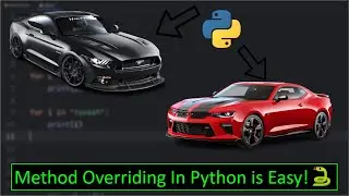 Method Overriding In Python is Easy!🐍