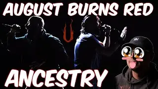 August Burns Red - Ancestry Reaction