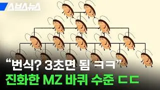 90년대 이후 태어난 바퀴벌레는 다르다? / 스브스뉴스