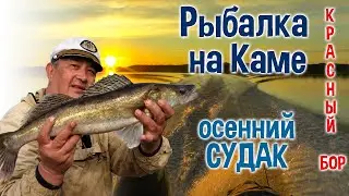 РЫБАЛКА НА КАМЕ - Красный бор. ОСЕННИЙ СУДАК