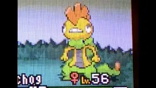 LIVE!! Shiny Scrafty After 8,438+ RE's!!! (White 2)