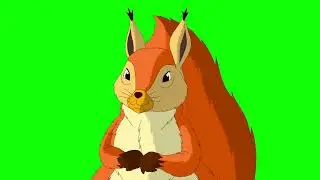 Cute Squirrel Closeup Chroma Key Green Screen | By Creator Stockify