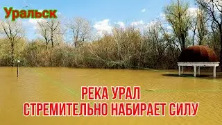 Уральск в ожидании большой воды!
