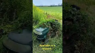 Nature Break At Abandoned Trailer. overgrown Craftsman Mower #nature #lawnmower #naturalbeauty