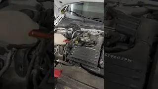 Шкода Рапид (Skoda Rapid ). Лёгкое техническое обслуживание. #automobile