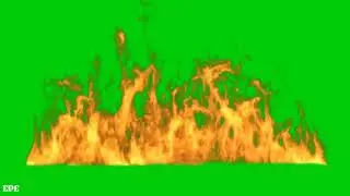 Fire burning green screen royalty free