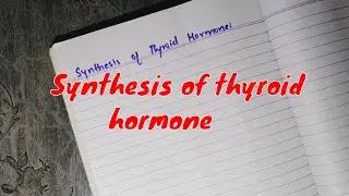 Synthesis of thyroid hormone | Thyroid hormone in Urdu/Hindi | 2020