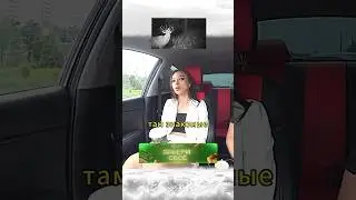 Неожиданная концовка 🗿700к на оленях 