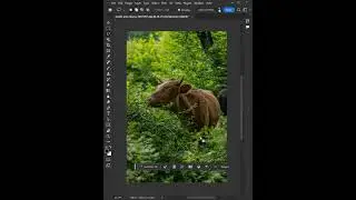 Remove Anything in Photoshop - Photoshop Quick Tip