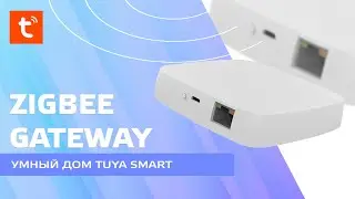 Умный дом Tuya Smart, шлюз Zigbee - Ethernet от Moes, обзор, подключение устройств, возможности