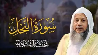 سورة النحل كاملة | تلاوة خاشعة للشيخ محمد أيوب