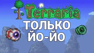 ТЕРРАРИЯ ЗА ЙО-ЙОШНИКА (1/4)