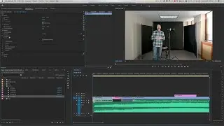 Pan & Zoom in Adobe Premiere Pro 2020