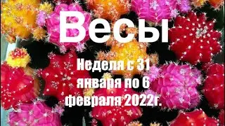 Весы. Таро -прогноз на неделю с 31 января по 6 февраля 2022 года.