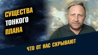 Существа тонкого плана и сущность жизни