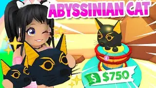 *IT'S HERE!* ABYSSINIAN CAT in ADOPT ME *DESERT UPDATE* (roblox)