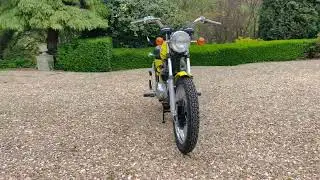 BSA A65F Firebird Scrambler