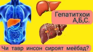 НАМУДХОИ ГЕПАТИТ. ЗАРАРИ ОНҲО.