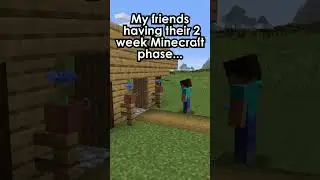 "2 week Minecraft Phase"? We don't call it a phase over here. #minecraft  #minecraftspeedrun