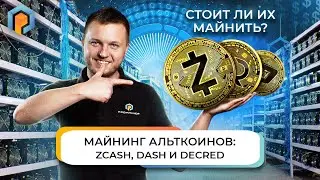 Майнинг KADENA на GoldShell KD5 останется прибыльным в 2022? Выгодно ли майнить непопулярные токены?