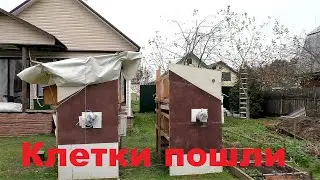 КЛЕТКИ ДЛЯ КРОЛИКОВ ПОШЛИ Разведение Кролики