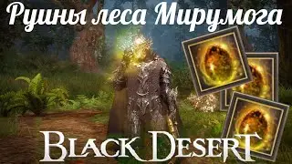 Black Desert: Руины леса Мирумога