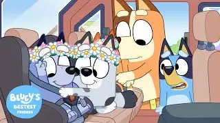 Funniest Moments of Bluey's Friends from Every Season 🤣 | Bluey's Bestest Friends - Official Channel